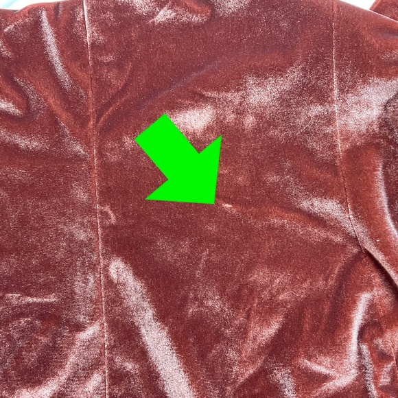 NWT Revelry Velvet Tube Top Terracotta Color Sleeveless Bustier size L - Picture 15 of 15